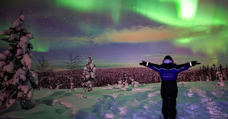 Rovaniemi: Small-Group Northern Lights Wilderness Tour - The guides make the difference
