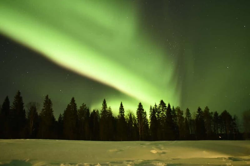 Rovaniemi: Snowtrain to Northern Lights Camp - Key points to know before booking