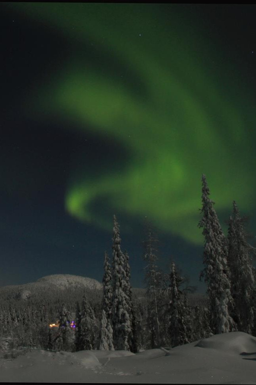 Ruka: Searching for the northern lights with snowshoes - Who should book this outing?