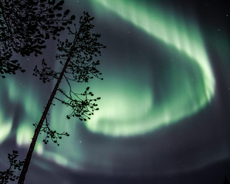 Saariselkä: Aurora Photo Tour by Car with Transfer & Drinks - The guide makes a major difference