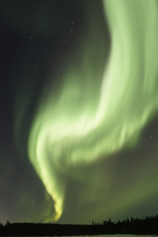 Saariselkä: Aurora Photo Tour by Car with Transfer & Drinks - Price and value at $135