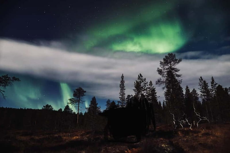 Saariselkä,Kakslauttanen: Aurora Hunting & Photography Tour. - Photography, photos, and realistic expectations