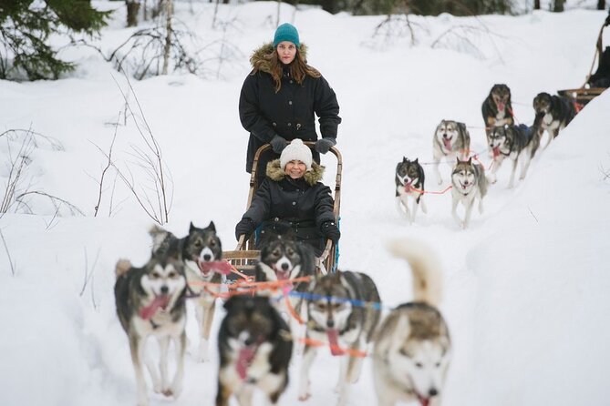 Santa's Reindeer & Husky Safari + Aurora BBQ in Rovaniemi - The afternoon gap is useful, but plan it well