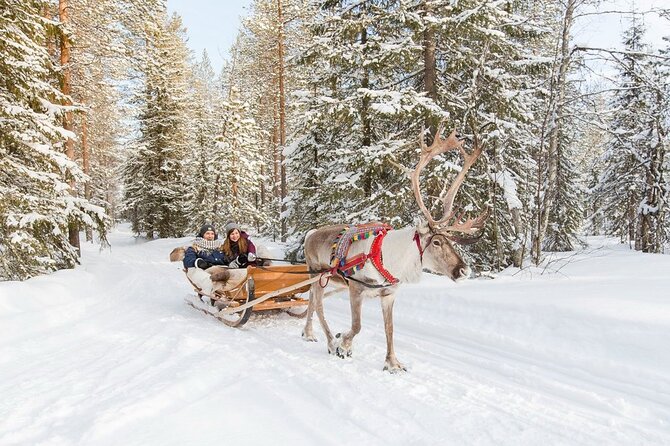 Santa's Reindeer & Husky Safari + Aurora BBQ in Rovaniemi - Guides are a major part of the experience