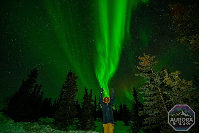 SkyChase™ | Northern Lights Experience - Free Photography & More - Who will enjoy this most