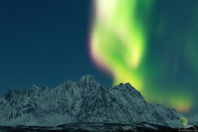 Small-Group Northern Lights Tour from Tromso with Photos - Fires, hot chocolate, and the reality of Arctic cold