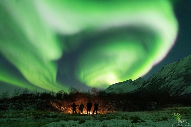 Small-Group Northern Lights Tour from Tromso with Photos - How the guide shapes the evening