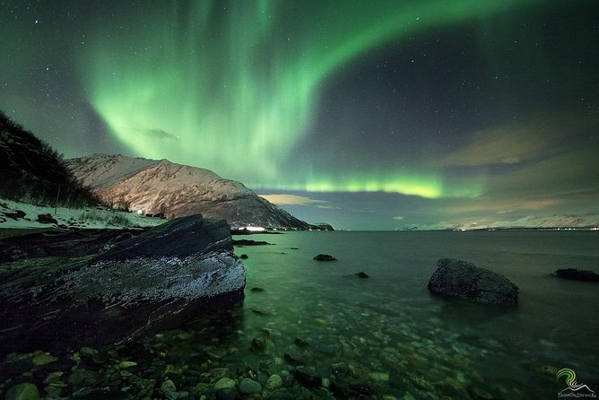 Small-Group Northern Lights Tour from Tromso with Photos - Is $153.25 a fair price?