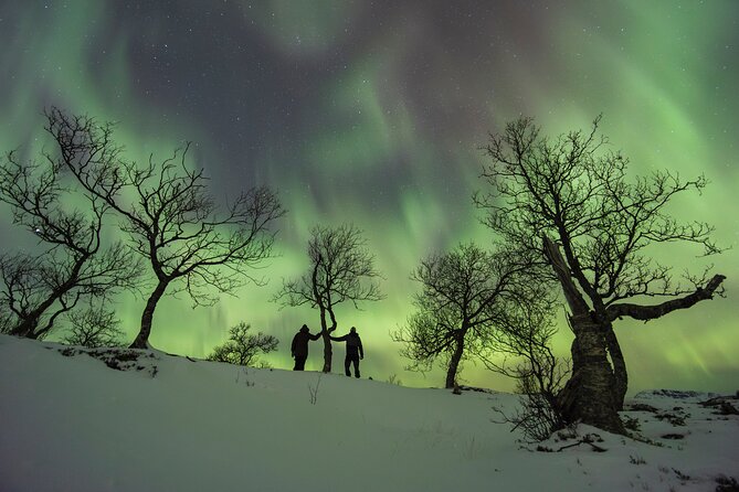 Small Group Quest to find the Northern Lights in Tromsø - Why the guide can make or break the evening