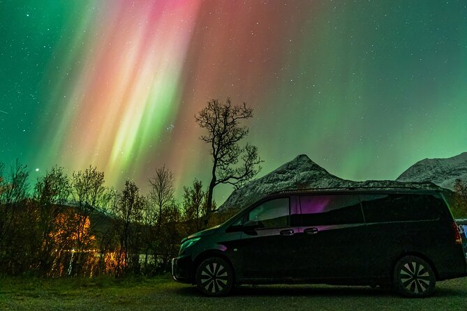 Small Group Van Journey in Search of the Northern Lights - Key points to know before you book