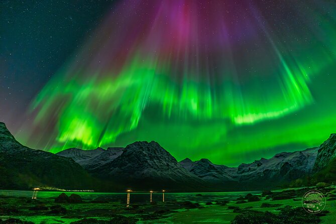 Small Group Van Journey in Search of the Northern Lights - Why the chase matters around Tromsø