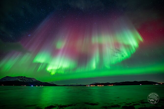Small Group Van Journey in Search of the Northern Lights - A small campfire, local food, and a slower evening