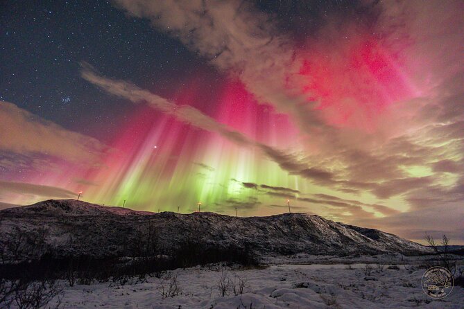 Small Group Van Journey in Search of the Northern Lights - What the sightings can really be like