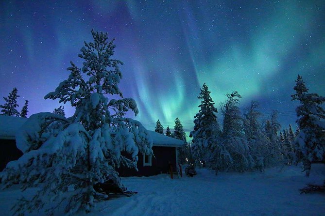 Snowmobile Aurora Expedition with dinner - From Torggatan 4 to the forest trail