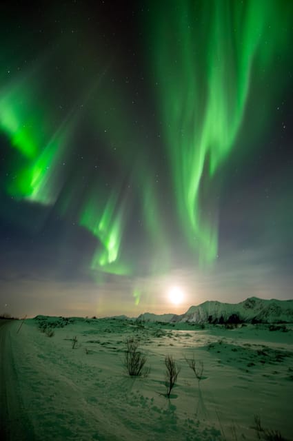 Svolvær: Ultimate Aurora Hunt - The best nights, and the hard nights