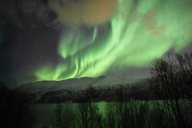 The Aurora Tour - small group, northern lights - Photos, tripods, and the value of a good guide