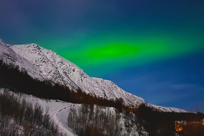 The Aurora Tour - small group, northern lights - Who should choose this tour?