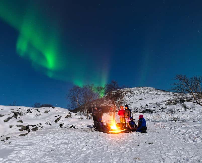 Tromsø: All-Inclusive Northern Lights Hunt - Chasing clear skies from Tromsø