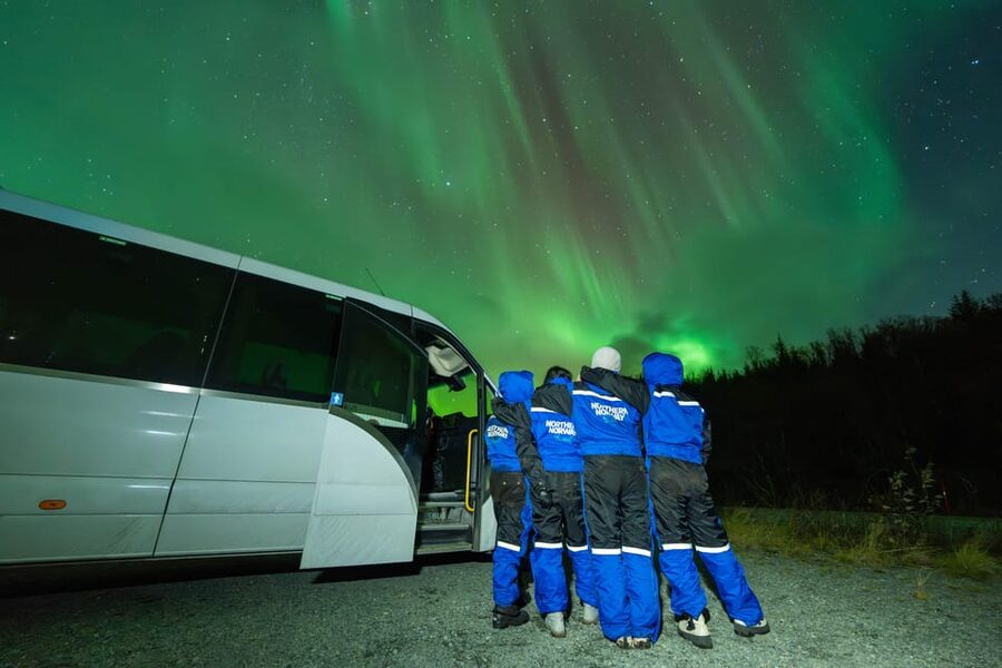 Tromsø: Aurora Borealis, Campfire, Hot Meal, Arctic Tour - Key points before you book
