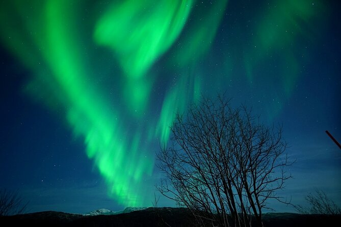 Tromso Aurora Chase by Minibus with Thermal Suit, Snack and Photo - From Nansens plass into the Arctic dark