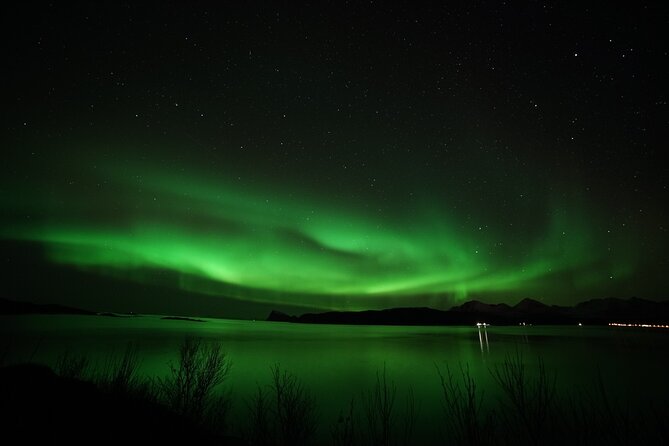 Tromso Aurora Chase by Minibus with Thermal Suit, Snack and Photo - Campfire comfort, cocoa, and the real meaning of snacks