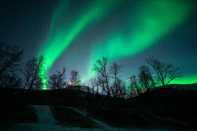 Tromso Aurora Chase by Minibus with Thermal Suit, Snack and Photo - Pickup, drop-off, and the late return