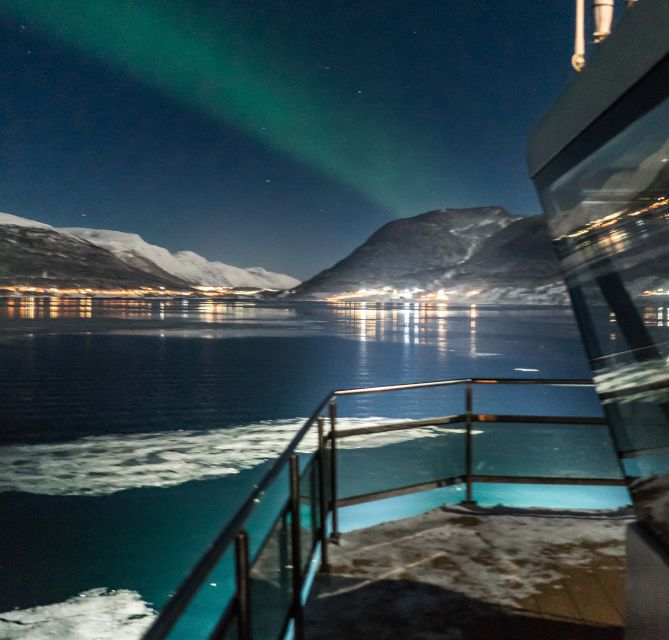 Tromsø: Aurora Dinner Cruise by Hybrid-Electric Catamaran - Dessert with mountain views