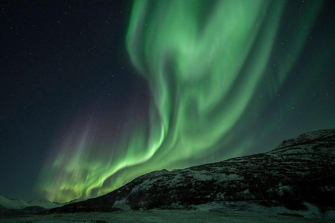 Tromso Aurora Hunt with Bonfire, Soup, Winter Gear & Transfers - What you learn from guides such as Anna, Magda, and Bart
