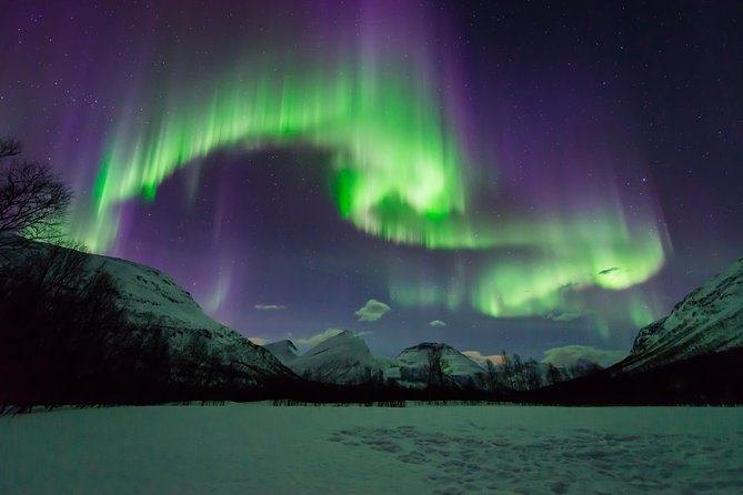 Tromso Aurora Hunt with Bonfire, Soup, Winter Gear & Transfers - The outdoor camp and its honest limitations