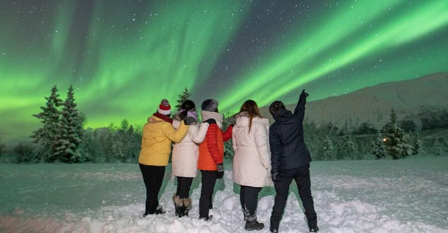 Tromsø: Aurora Safari Chase with Photos - What the $124 price buys you