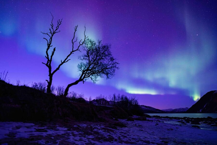 Tromsø: Aurora Tour with Photos, Campfire and Arctic Food - Who should book this tour?