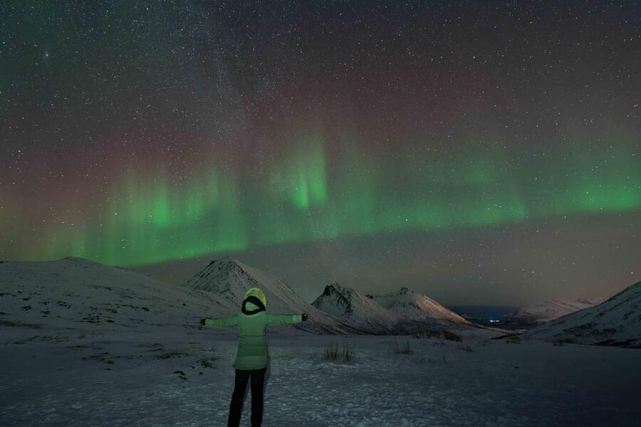 Tromsø: Aurora Tour with Photos, Campfire and Arctic Food - Photography help and the included image