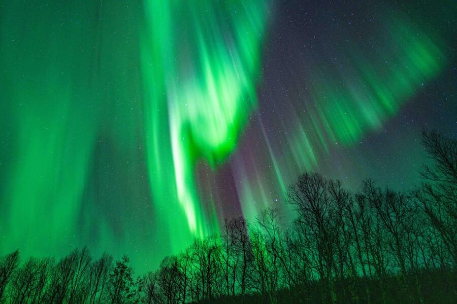 Tromsø: Aurora Tour with Photos, Campfire and Arctic Food - Staying warm on snow and rough ground