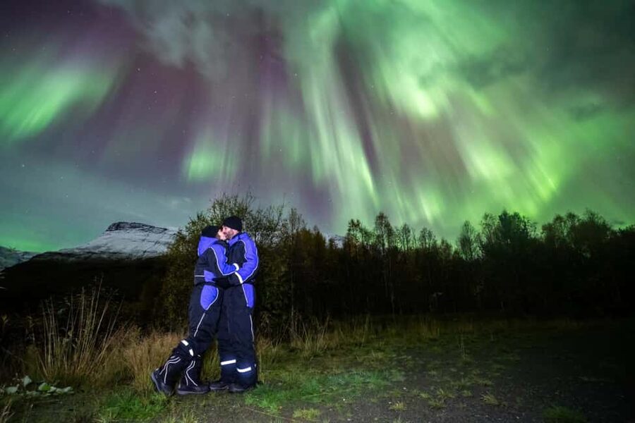 Tromsø: Big Bus Northern Lights Tour with Free Photos - Is $69 good value?