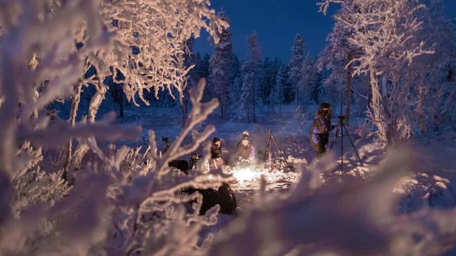 Tromsø: Big Bus Northern Lights Tour with Free Photos - Who will enjoy this most