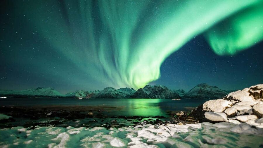 Tromsø: Big Bus Northern Lights Tour with Free Photos - Small details that make the night better