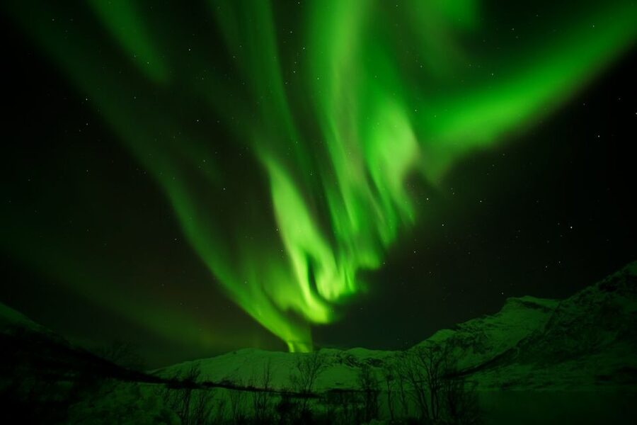 Tromsø: Chase Aurora in Minibus and Free Aurora Portrait - Should you book the Tromsø aurora minibus tour?