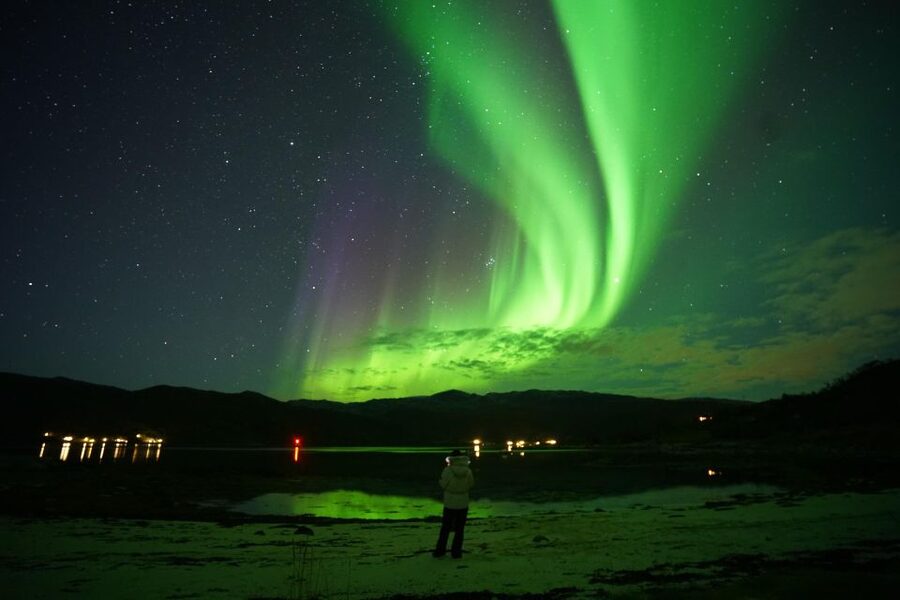 Tromsø: Chase Aurora in Minibus and Free Aurora Portrait - Photography help and the free portrait