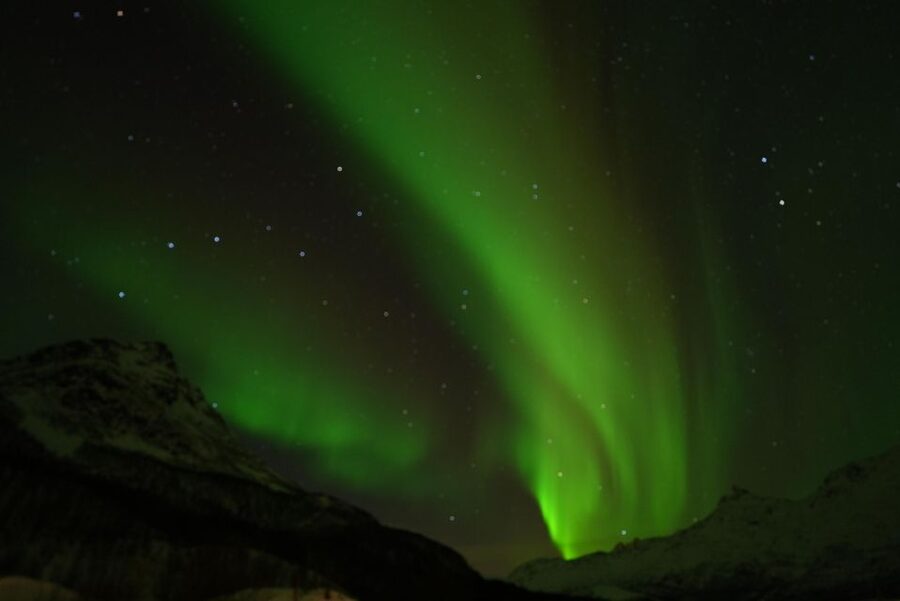 Tromsø: English/Spanish Aurora Pathfinder Tour with Photos - Is $136 a fair price?