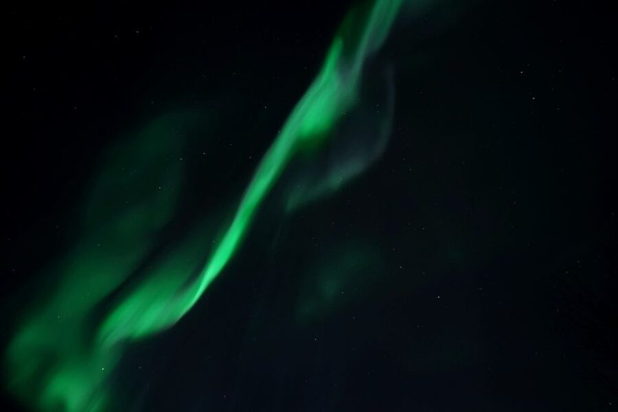 Tromsø: Evening Aurora Cruise (dinner optional) - Leaving central Tromsø at 8 p.m.
