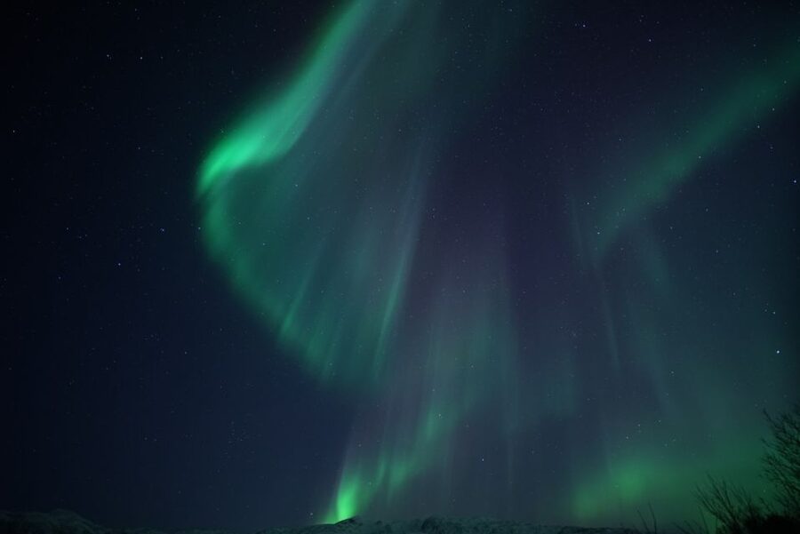 Tromsø: Evening Aurora Cruise (dinner optional) - Who will enjoy this cruise most?
