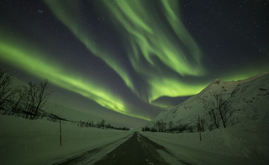 Tromsø: Expert Aurora Hunt - Thermal Gear, Food, Campfire - Campfire food and Arctic comfort
