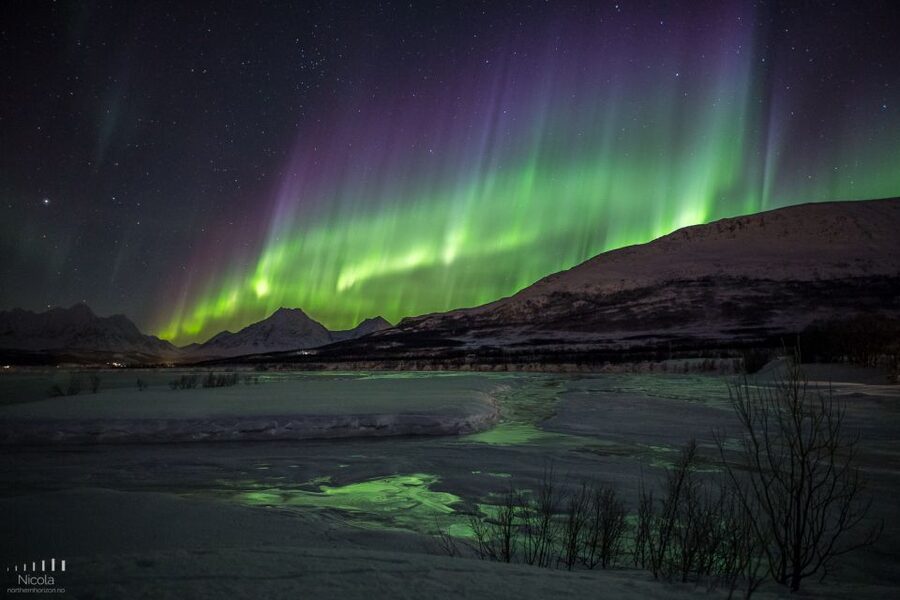 Tromsø: Expert Aurora Hunt - Thermal Gear, Food, Campfire - Is $241 a fair price?