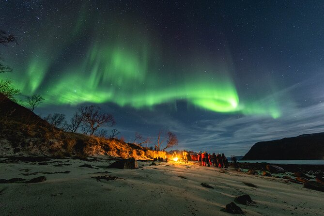 Tromsø: Northern Lights by Minibus - Free Photos and Warm Dinner - Key points before you book