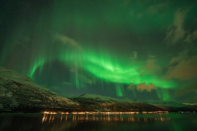 Tromsø: Northern Lights by Minibus - Free Photos and Warm Dinner - Who will enjoy this Tromsø aurora tour