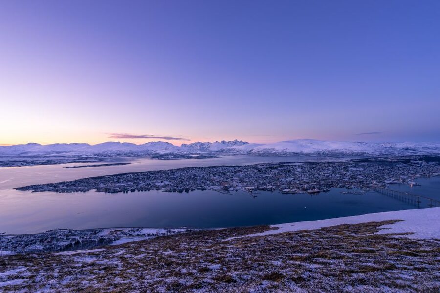Tromso: Northern Lights Cable Car Excursion - Cake, waffles, tea, and a warm pause