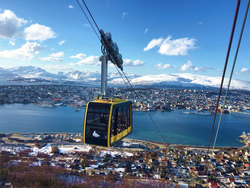 Tromso: Northern Lights Cable Car Excursion - Tromsdalstinden and the view from the terrace