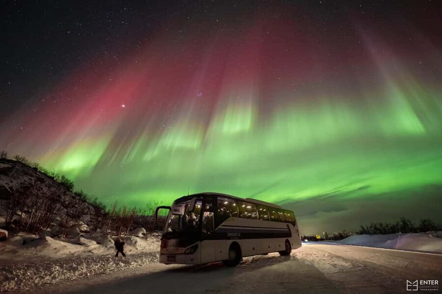 Tromsø: Northern Lights Chase with Expert Guides & Photos - Key points to know before booking
