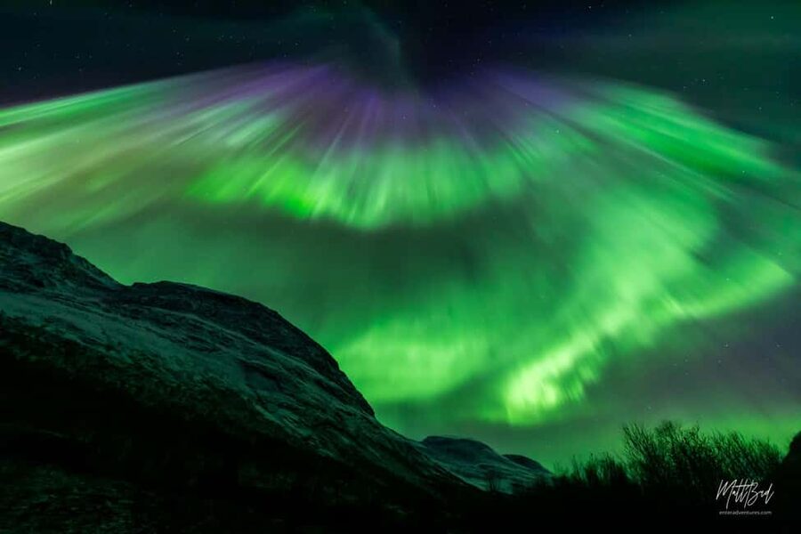 Tromsø: Northern Lights Chase with Expert Guides & Photos - Meeting the bus behind Enter Amalie Hotel