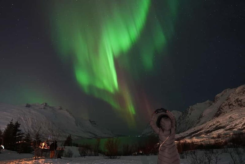Tromsø: Northern Lights Chase with Local Guide & Free Photos - What happens during an Aurora display
